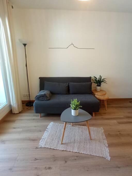 A 50 M De La Plage, Appartement De 35 M2 : Les Pieds Sales Bréhal 외부 사진