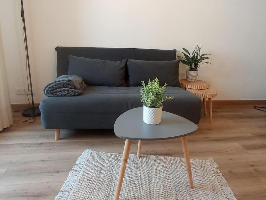 A 50 M De La Plage, Appartement De 35 M2 : Les Pieds Sales Bréhal 외부 사진